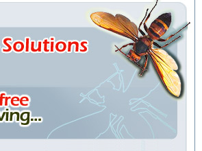 Cost Effective Pest Control